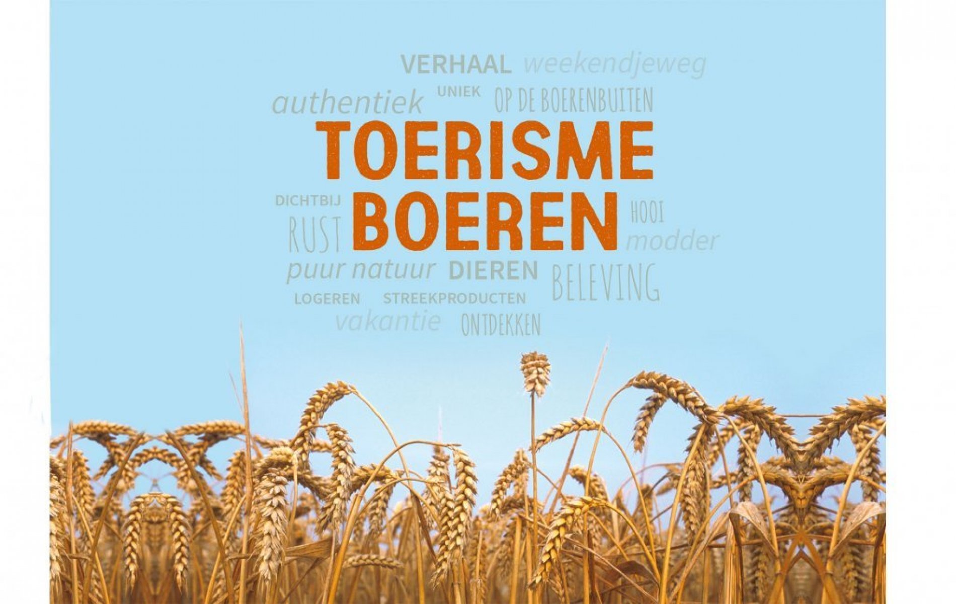 Toerisme