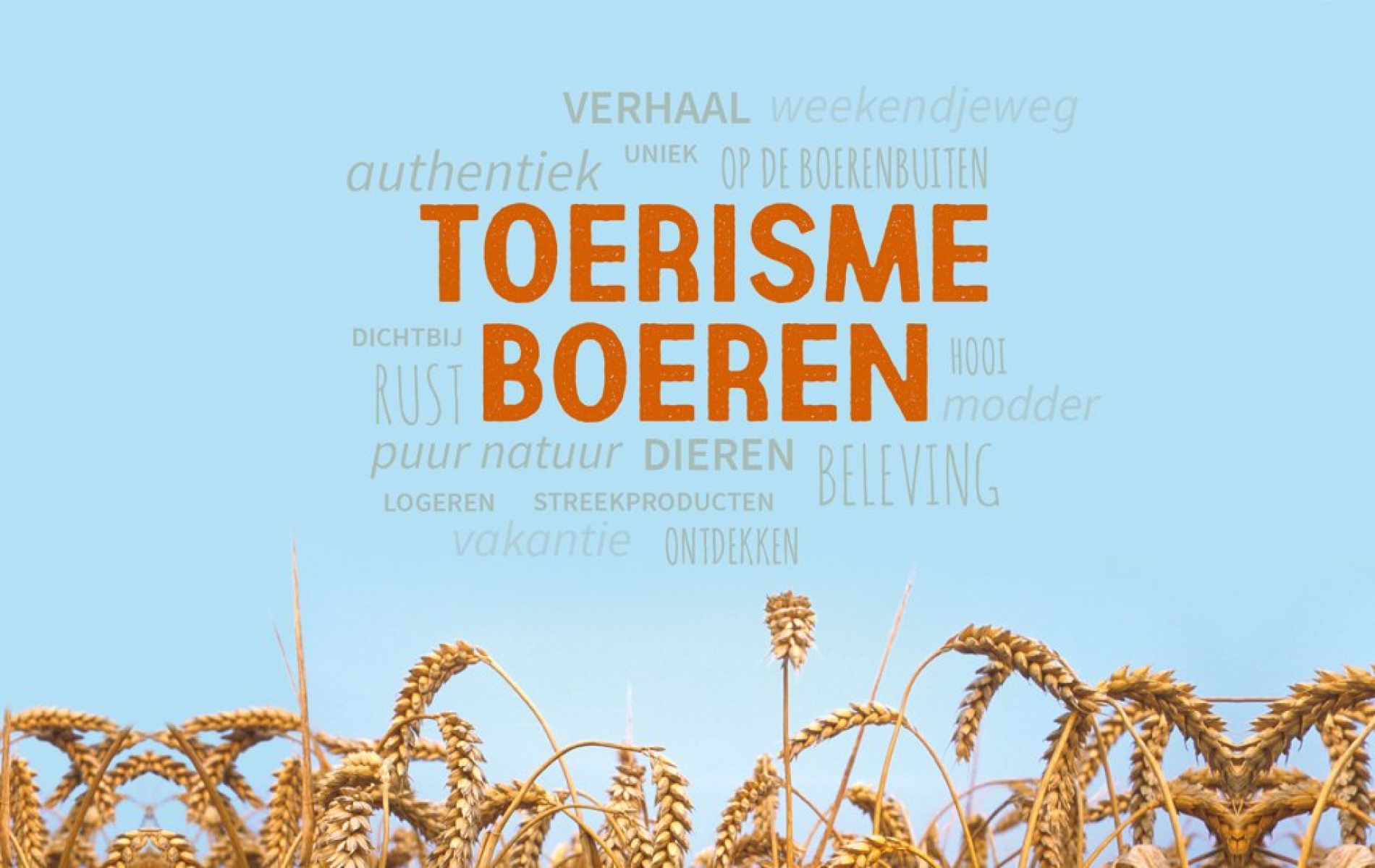 Toerisme
